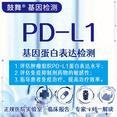 PD-L1 Protein Expression E1L3N Best Genetic Testing For Health