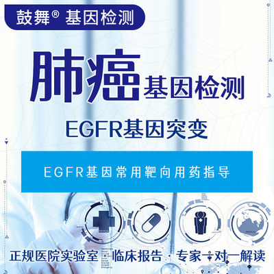 kaufen EGFR-Genmutation MassARRAY Genetische Testdienste online manufacture