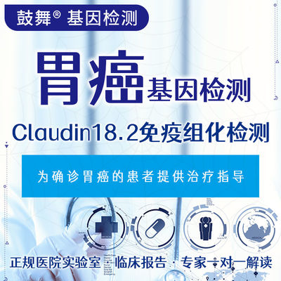 kaufen Immunhistochemischer Nachweis von Claudin 18.2 bei Magenkrebs online manufacture