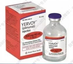 40 ml Ipilimumab Injektion 200 mg Ipilimumab Darmkrebsmedikamente